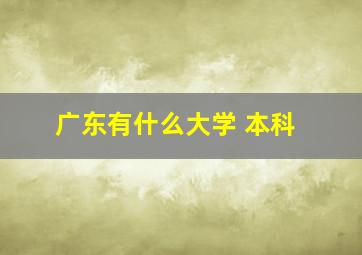 广东有什么大学 本科